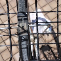 IMG_0853 - コピー