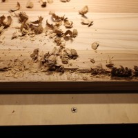 IMG_1069 - コピー